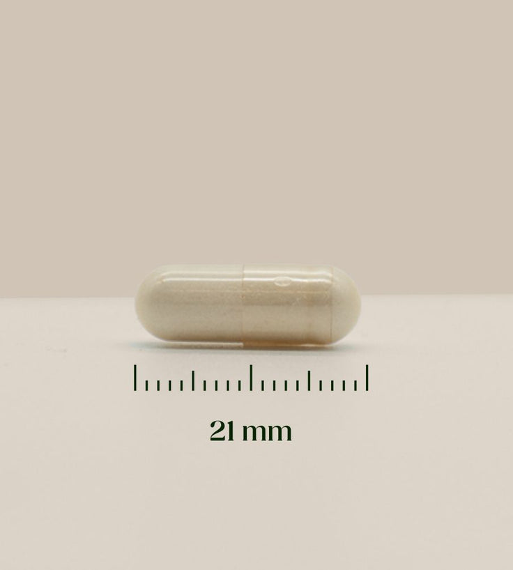Hairgivers NAC-lisä 600 mg | 120 kapselia (N-asetyylikysteiini)