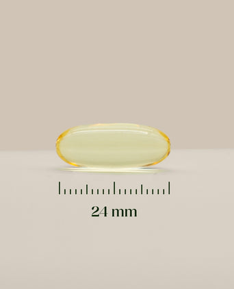 Hairgivers Omega 3-tillskott 1000 mg | 60 kapslar (EPA/DHA) Hairgivers Omega 3-tillskott 1000 mg | 60 kapslar (EPA/DHA)