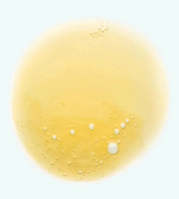 Klorane shampoo for dry hair Mango (400 ml) - Hairgivers