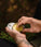 Mr. Bear Family beard balm - Citrus (60 ml) - Hairgivers