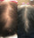 Revita hair growth shampoo 3-pack (3x205 ml) - Hairgivers