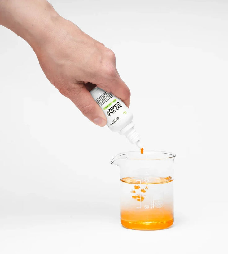 Scandinavian Biolabs Bio-Silacumin liquid supplement - Hairgivers