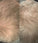 Scandinavian Biolabs hair growth treatment (men) - Hairgivers