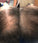 Spectral.CSF (Adenosine) lotion - Hairgivers