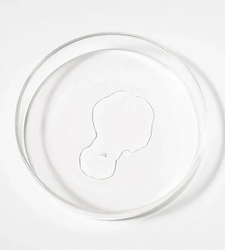 Scandinavian Biolabs Bio-Pilixin serum men (100 ml) - Hairgivers