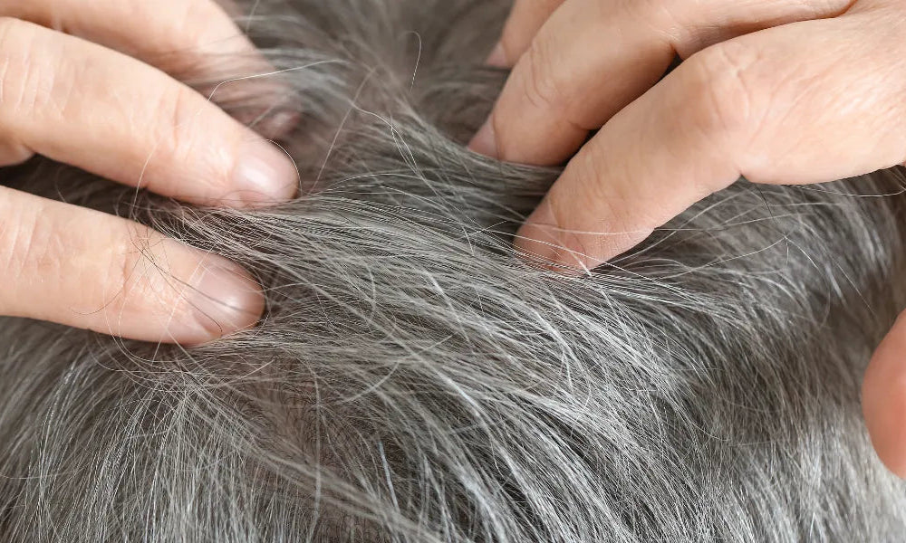 Dylemat siwych włosów: Czy możemy temu zapobiec?