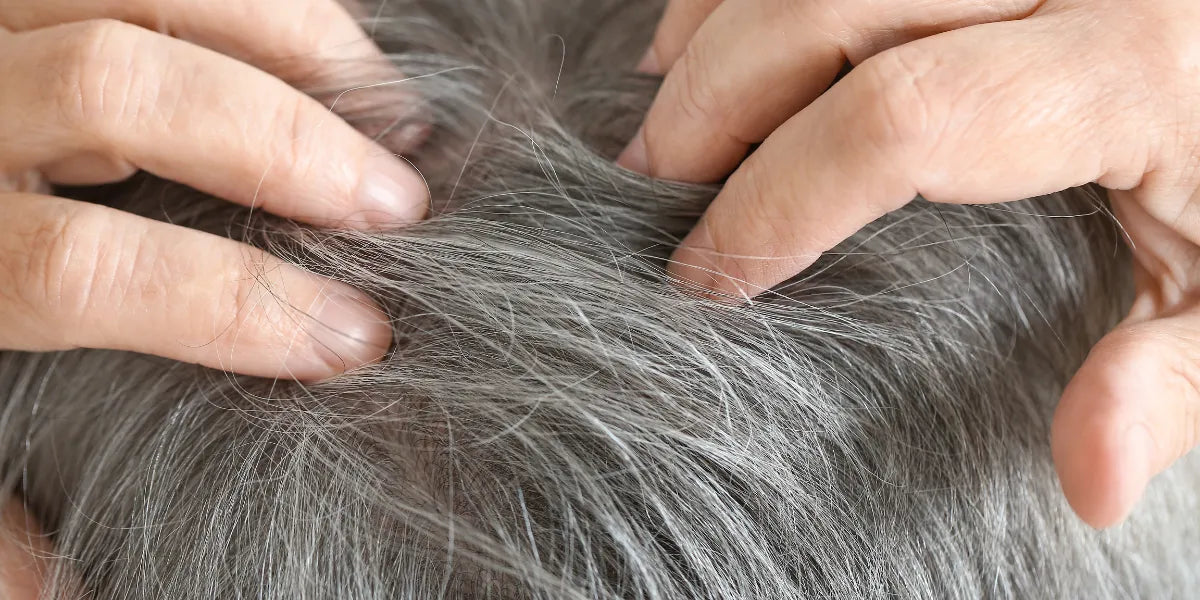 Le dilemme des cheveux gris : Peut-on les prévenir ?