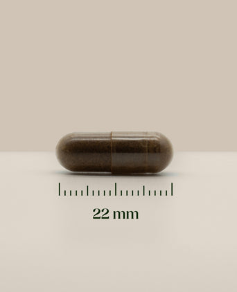 Hairgivers Ashwagandha-tillskott 500 mg | 60 kapslar (vegan)