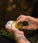 Mr. Bear Family beard balm - Citrus (60 ml) - Hair Growth Specialist
