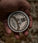 Mr. Bear Family beard balm - Wilderness (60 ml) - Hair Growth Specialist