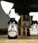 Mr. Bear Family beard oil - Citrus (60 ml) - Hairgivers