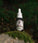 Mr. Bear Family beard oil - Wilderness (30 ml) - Hairgivers