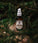 Mr. Bear Family beard oil - Woodland (60 ml) - Hairgivers