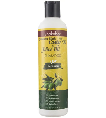 Shakebar Repair & Moisturizing treatment - Hairgivers