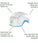 Theradome LH80 PRO laser helmet - Hair Growth Specialist